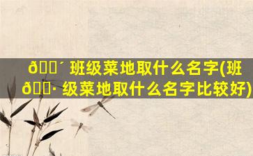 🐴 班级菜地取什么名字(班 🕷 级菜地取什么名字比较好)